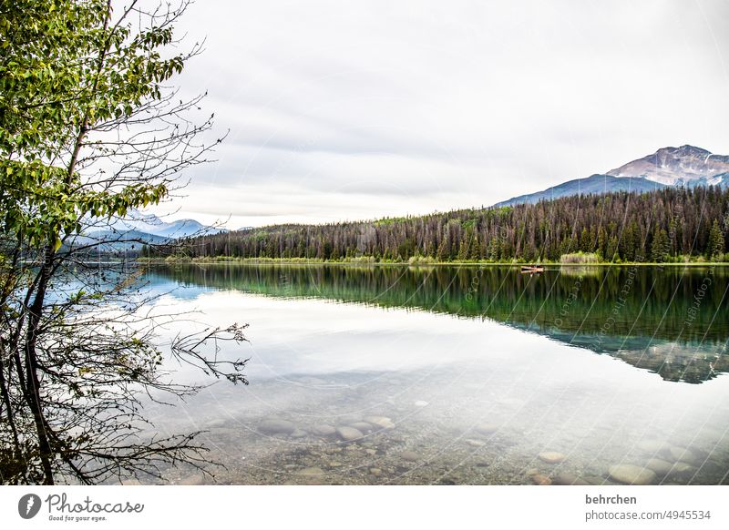 süiegeleigeschichten Himmel Einsam Einsamkeit friedlich beeindruckend Idylle stille Ruhe Alberta Wolken Abenteuer Jasper National Park See Bäume Nordamerika