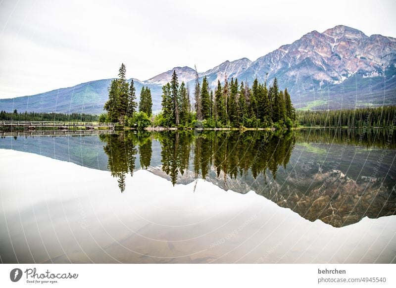 zweimal schön besonders Fernweh weite Ferne Tourismus Ferien & Urlaub & Reisen Natur Außenaufnahme Kanada Berge u. Gebirge Wald Landschaft Rocky Mountains