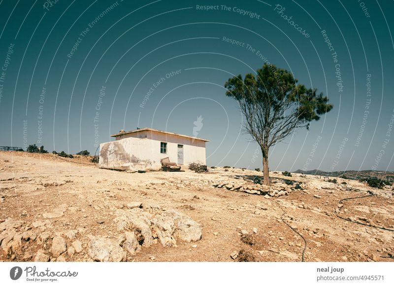 Einsam gelegenes Haus mit ebenso einsamem Baum in monochromer karger Landschaft Einsamkeit Hütte Weite Natur Trockenheit Hitze Dürre Landwirtschaft Krise Klima