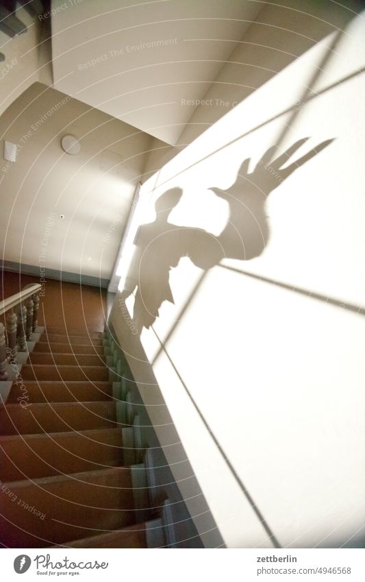 Winkender Schatten auf der Treppe absatz abstieg abwärts altbau aufstieg aufwärts fenster geländer haus mehrfamilienhaus menschenleer mietshaus stufe