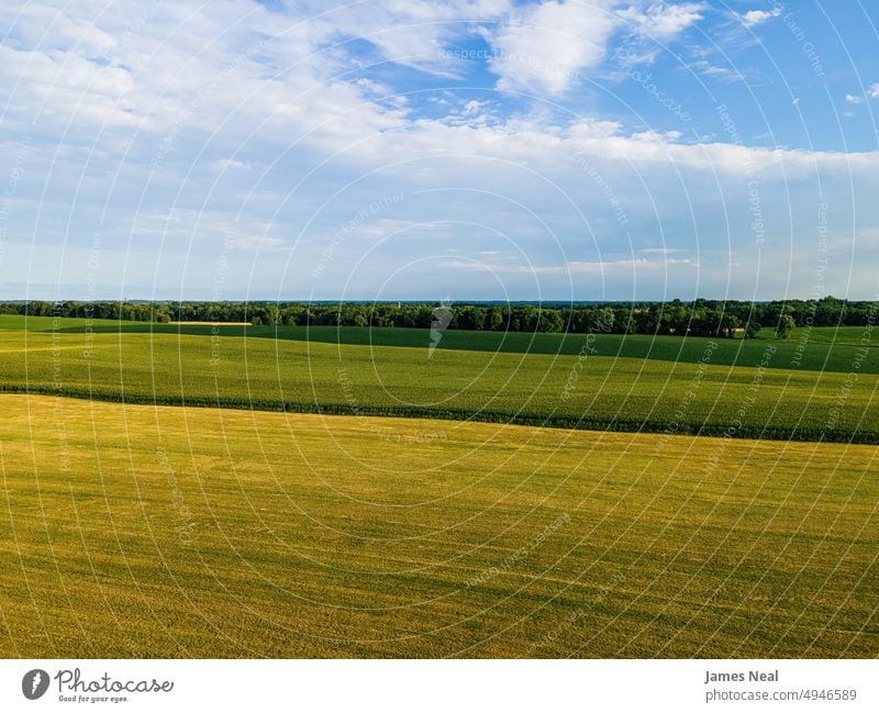 Lebendige Sommerlandschaften in Wisconsin Horizont sonnig natürlich Natur Tag Wiese Hintergrund Ackerbau Pflanze idyllisch nachhaltige Ressourcen Wachstum