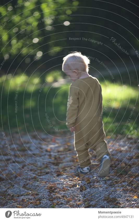 Rückansicht eines blonden Kindes, welches geht und in Richtung Boden blickt traurig Junge Körperhaltung nachdenklich Mensch Kindheit Kindheitserinnerung Porträt