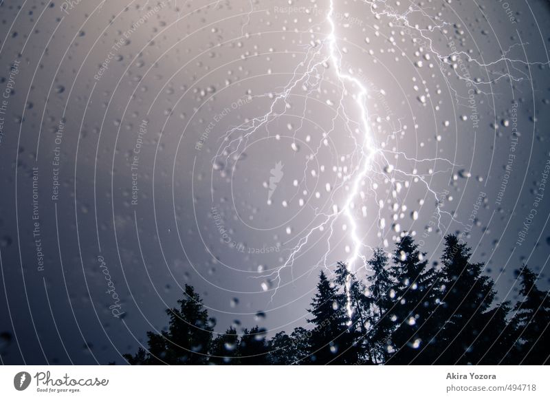 Donnerwetter Natur Wassertropfen Himmel Wetter schlechtes Wetter Gewitter Blitze Baum leuchten dunkel hell nass natürlich blau schwarz weiß gefährlich Wut