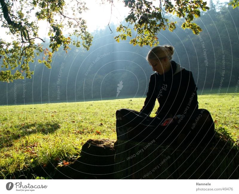 hanna Licht Frau Wald Wiese Herbst Baum grün Sonne Beleuchtung hell Idylle Morgen