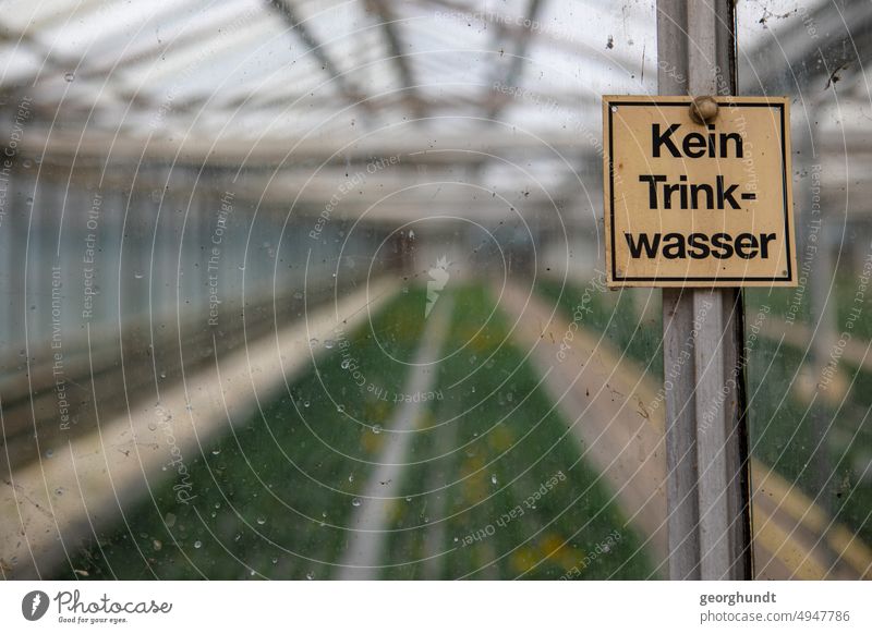 Kein Gärtnereifoto Gewächshaus gärtnern Trinkwasser Wasser Kein Trinkwasser nicht trinken Getränk Schild beschilderung Frühbeet VEG VEB Scheibe Glas Pflanzen