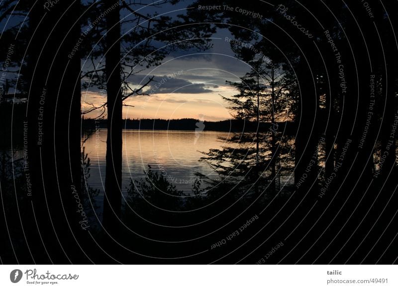 Sonnenuntergang in Schweden ruhig Freiheit Natur Landschaft Wasser Wolken Baum Wald Küste See dunkel Unendlichkeit Romantik reflektion Farbfoto Außenaufnahme