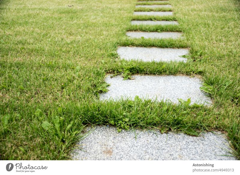 Trittplatten-Weg Pfad Wiese grün Gras Stein grau Platten Natur Linie Richtung Außenaufnahme Landschaft Wege & Pfade Tag Menschenleer Farbfoto weg wandern Umwelt