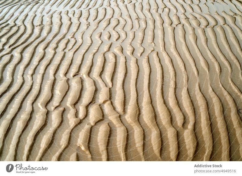 Gekräuselte Oberfläche von trockenem Sand Rippeln trocknen Textur Strand Sommer uneben rau Hintergrund Ufer winken Seeküste wüst Klima Dürre braun unfruchtbar