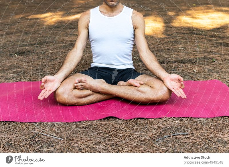 Ein Mann meditiert auf einer Matte im Park meditieren Yoga Sitzung Lotus-Pose gestikulieren Mudra Zen Unterlage männlich Beine gekreuzt Wohlbefinden Vitalität