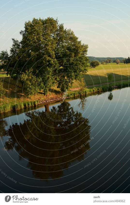 Spiegelungen | oben und unten Sommer Sommerurlaub Umwelt Natur Landschaft Wasser Himmel Frühling Schönes Wetter Pflanze Baum Gras Wiese Feld Küste Seeufer