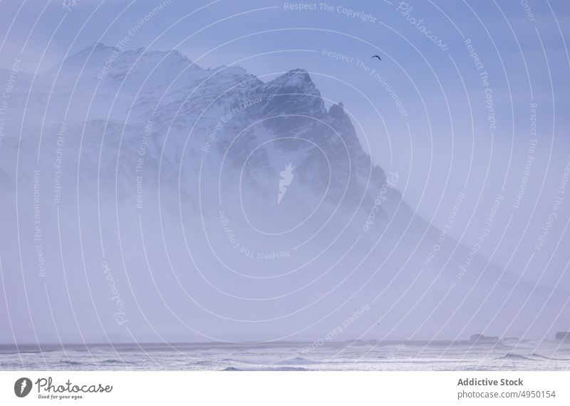 Verschneiter Berg in der Nähe der Ebene am Abend Berge u. Gebirge Schnee Tal Winter Nebel kalt Natur vage Island Wetter atemberaubend Meer Dunst Kamm Dämmerung