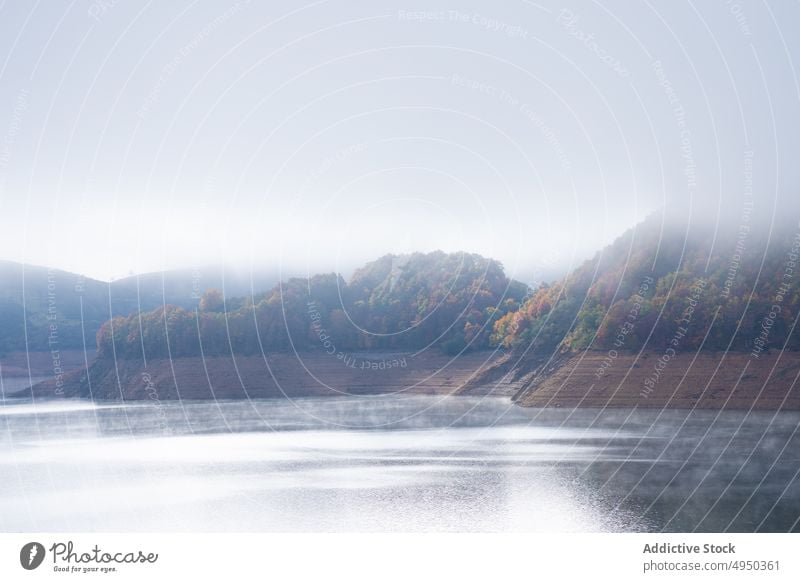 Nebel über ruhigem Fluss und üppigen Herbstbäumen Baum Natur Landschaft malerisch Wald üppig (Wuchs) fallen Wälder Laubwerk farbenfroh friedlich stumm