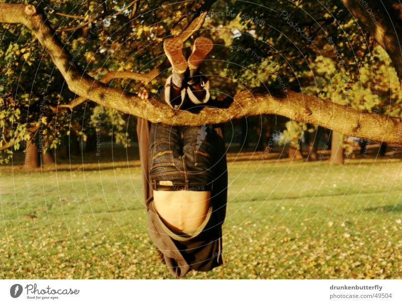 in the hanging garden Baum Herbst Blatt Wiese Schuhe hängen gelb Physik grün baumeln Gras Ast Mensch Natur Rücken Jeanshose Klettern Wärme