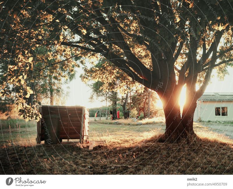 Abends in Fleether Mühle Bienenstock Imkerei Tag Außenaufnahme Farbfoto Sträucher Baum Horizont Landschaft Natur Umwelt Himmel draußen schönes Wetter Idylle