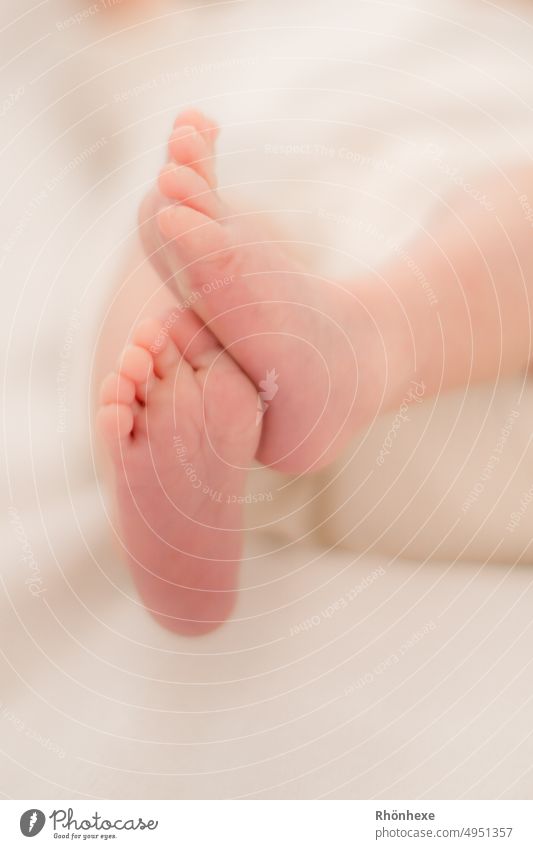 zarte Neugeborgenfüßchen Farbfoto neugeboren Wärme Eltern Babyfuß Zehen Liebe Zusammensein Geborgenheit Schutz Vertrauen Sicherheit Lebensfreude Glück Fuß