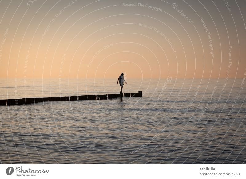 Fast am Ziel Sommer Sonne Meer Wellen Frau Erwachsene Wasser Sonnenaufgang Sonnenuntergang Wärme Ostsee See Wege & Pfade dünn Willensstärke Einsamkeit Ende