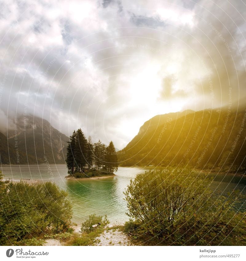 lago del predil Umwelt Natur Landschaft Pflanze Tier Wasser Himmel Wolken Baum Sträucher Felsen Alpen Berge u. Gebirge Gipfel Küste Seeufer Bucht Insel