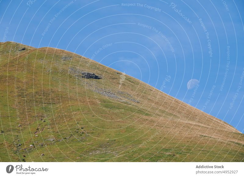 Grasbewachsenes Tal gegen blauen Himmel Feld Blauer Himmel Mond Natur Hügel Landschaft Sommer natürlich Wolkenloser Himmel escuain übersichtlich Spanien Umwelt