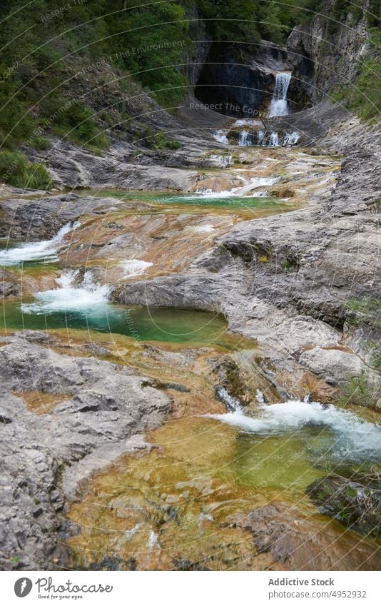 Wasserfall, der von Stufen in den Fluss fließt Kaskade Schritt Natur fließen Stein Baum Landschaft escuain Sommer Spanien Umwelt Sommerzeit Örtlichkeit Licht