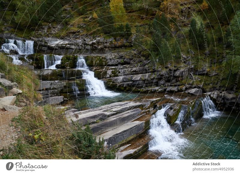 Wasserfall, der von Stufen in den Fluss fließt Kaskade Schritt Treppe Natur fließen Stein Baum Landschaft Sommer Odese Spanien Umwelt Sommerzeit Örtlichkeit