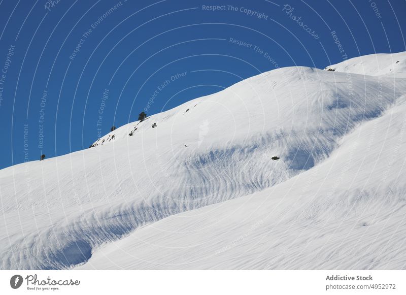 Mit Schnee bedeckter Berghang unter blauem Himmel Berge u. Gebirge steil Baum Hochland Stein Natur kalt Tierwelt Gipfel Blauer Himmel Umwelt Winter Saison