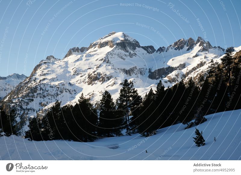 Schneebedeckte Berggipfel, umgeben von dichtem Wald Berge u. Gebirge Ambitus Natur Kamm Hochland Umwelt Landschaft Felsen Wälder wild Berghang Gipfel felsig