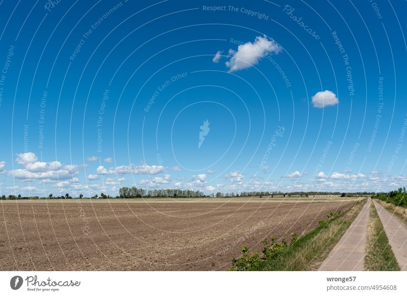 Umgepflügter Acker links des Feldweges in der Magdeburger Börde umgepflügt Betonweg Feldmark Ackerland Ackerboden Landwirtschaft Ackerbau Außenaufnahme Himmel