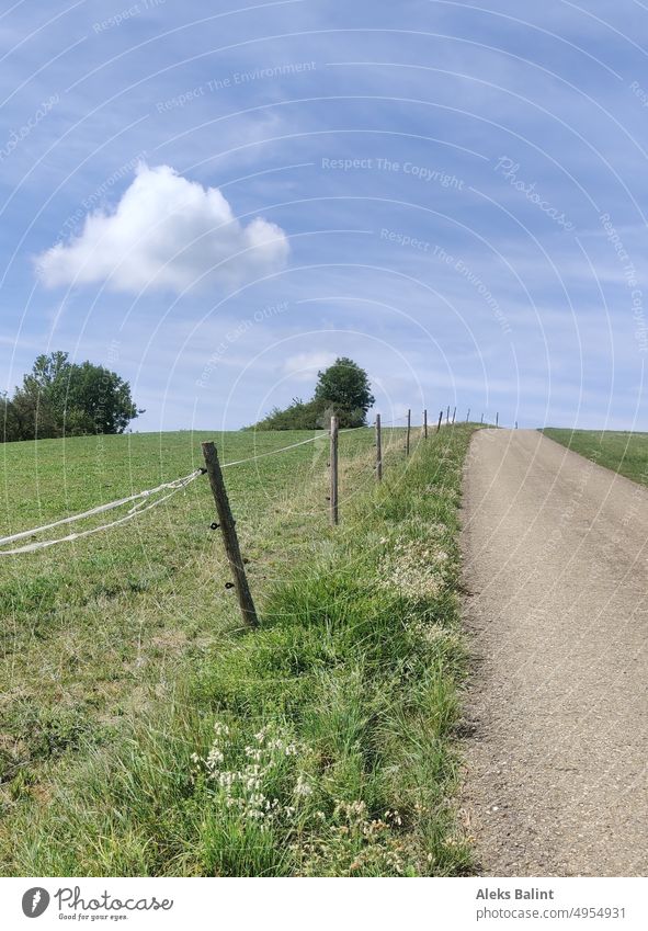 Ein Weg auf dem Land neben einem Zaun unter blauem Himmel mit Wolken. Straße Landschaft Natur ländlich Sommer im Freien malerisch Feld Gras Hintergrund grün