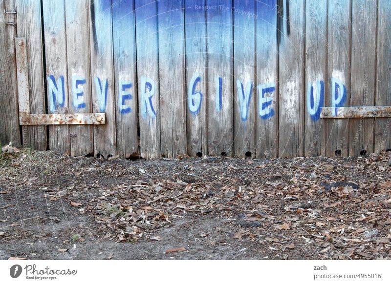 Never give up Graffiti aufgeben Hoffnung hoffen positiv Optimismus Mut Erfolg Entschlossenheit Willensstärke Kraft Schriftzeichen Wand Holz