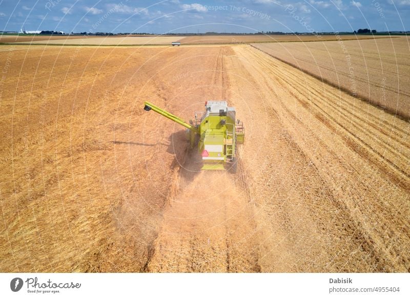 Luftaufnahme eines arbeitenden Mähdreschers in einem Weizenfeld, Erntesaison Feld Antenne Erntemaschine Staubwischen Korn Ackerland Traktor Maschine oben