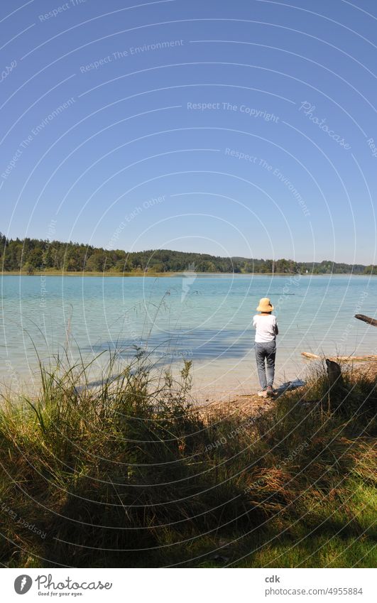 die Schönheit der Natur einfangen | am Seeufer stehen & fotografieren. seenlandschaft Wasser Landschaft Sommer Menschenleer Himmel ruhig Idylle Baum