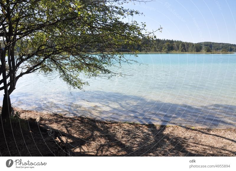 Idylle am See | Natur genießen und den Sommer verabschieden. Seeufer Wasser Landschaft Wasseroberfläche Reflexion & Spiegelung Außenaufnahme friedlich