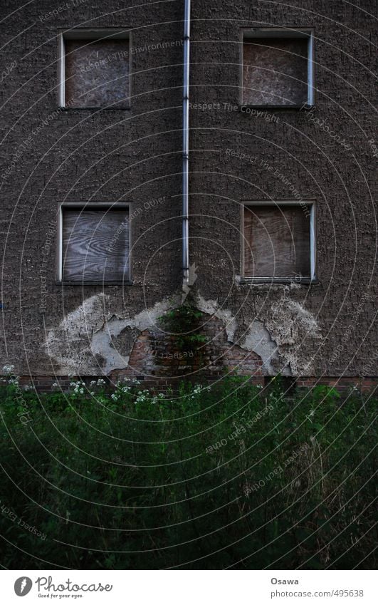 Eisenhüttenstadt Fassade Leerstand Haus Gebäude dunkel alt Fenster blind Fallrohr Schaden kaputt Putz Bauschaden Gras grün grau Textfreiraum unten Raster