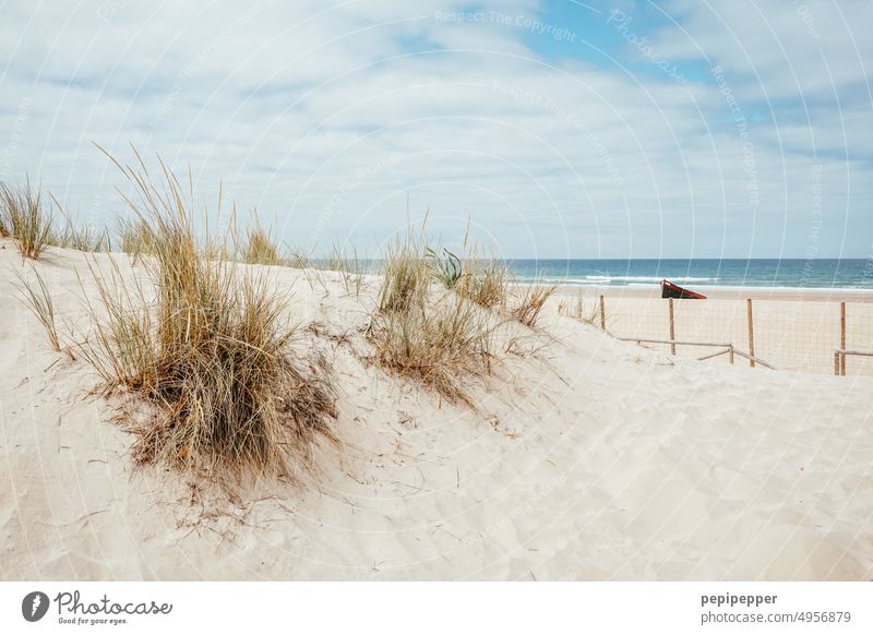 Stranddüne mit Fischerboot im Sand Meer Himmel Düne Dünengras dünenlandschaft Ferien & Urlaub & Reisen Erholung Tourismus Außenaufnahme Wolken Reiseziel blau