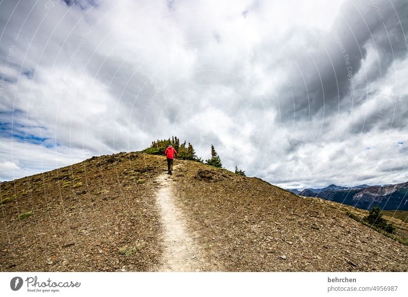 gipfelstürmer Wetter Wolken beeindruckend Kälte schroff Gipfel hoch oben Rocky Mountains Berge u. Gebirge Freiheit Ferien & Urlaub & Reisen Fernweh Ferne