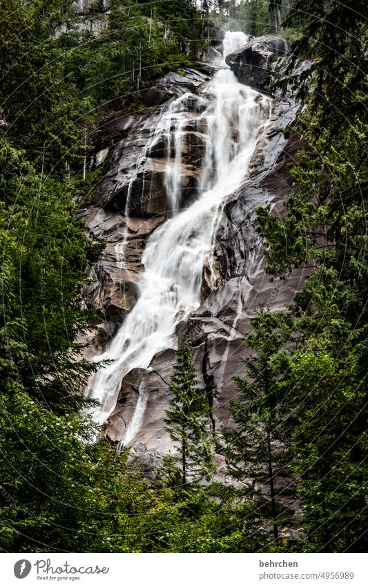 alles ist im fluss British Columbia Nordamerika Kanada beeindruckend fantastisch Fernweh Ferien & Urlaub & Reisen Tourismus Abenteuer Ferne Natur Landschaft