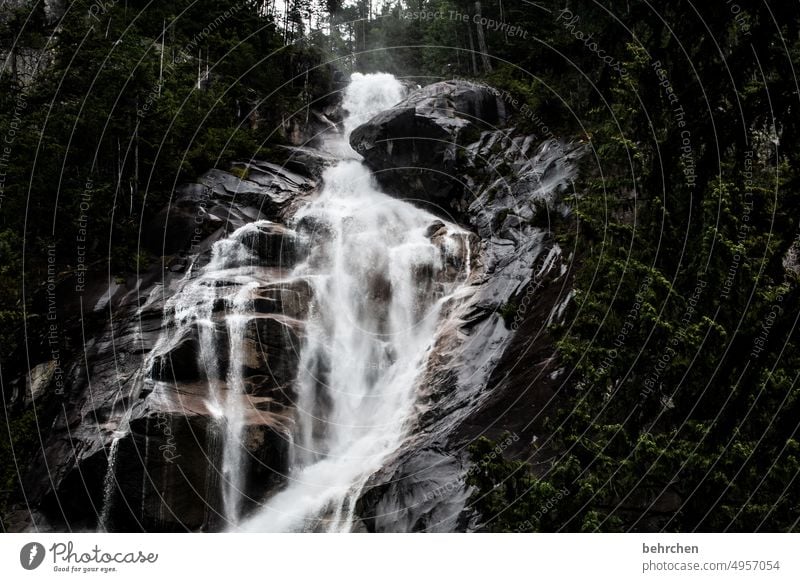 rausch Berge u. Gebirge Felsen Wald besonders Whistler shannon falls Menschenleer Außenaufnahme Farbfoto Naturphänomene Rauschen schön außergewöhnlich