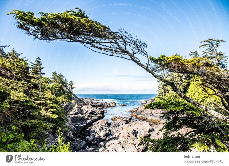 flüchtig Himmel Pacific Rim National Park Küste Felsen wild Wasser Meer beeindruckend besonders Natur Landschaft British Columbia Nordamerika Kanada Abenteuer