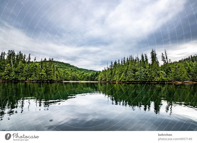 wassergeschichten Ferien & Urlaub & Reisen Außenaufnahme Vancouver Fernweh Vancouver Island fantastisch Farbfoto Nordamerika Kanada Freiheit Abenteuer Wasser