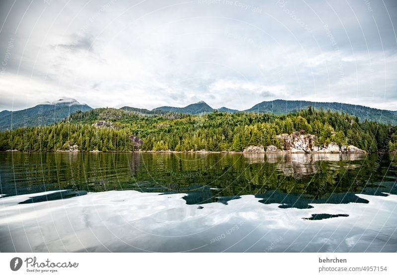 himmel und wasser Bootsfahrt Ausflug Ferien & Urlaub & Reisen Ferne Fernweh Vancouver Island fantastisch Farbfoto Nordamerika Kanada Freiheit Abenteuer Wasser