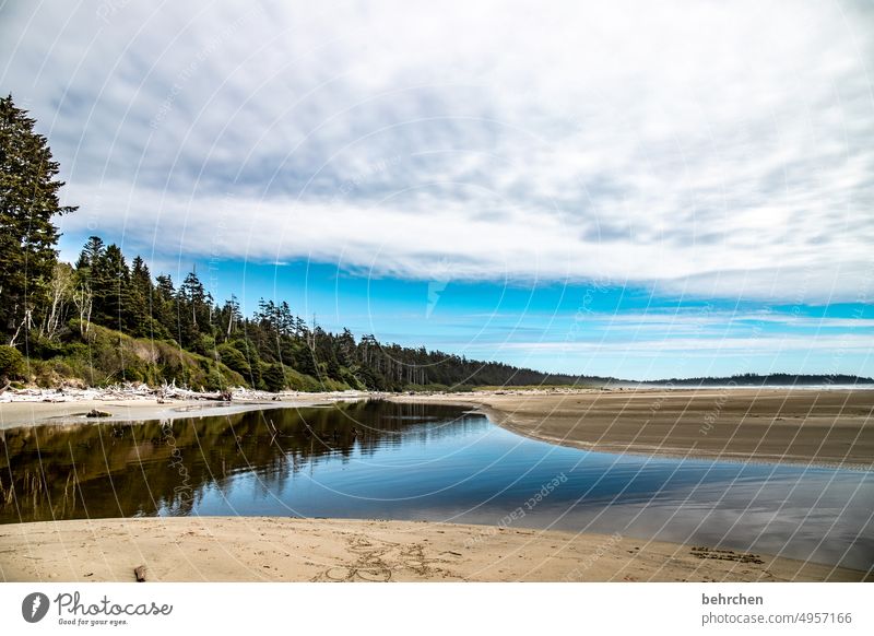 ein stück vom himmel Reflexion & Spiegelung Spiegelung im Wasser Strand Landschaft Wolken Natur Freiheit Küste weite Fernweh Himmel Außenaufnahme Meer Idylle