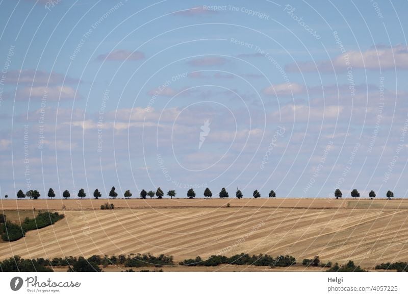 Landschaft im Spätsommer mit Feldern, - zum Teil abgeerntet - Bäumen und Sträuchern vor blauem Himmel mit Wolken Natur Kornfeld reif Stoppelfeld Baum Strauch