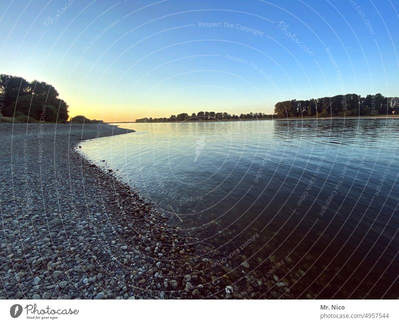 Last Summer Days Landschaft Natur Umwelt Schönes Wetter Fluss Strand Flussufer Idylle Rhein Nordrhein-Westfalen Wasser Erholungsgebiet ruhig Niederrhein Sommer