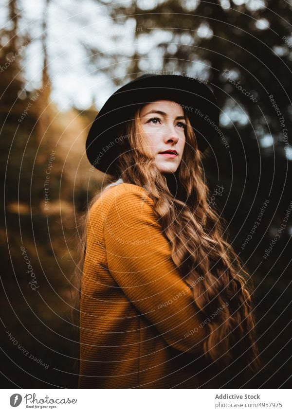 Junge Hipster-Frau auf dem Lande Mädchen Natur jung Person Lifestyle Hut Landschaft Sommer Model Schönheit Behaarung im Freien lässig Hintergrund Kaukasier