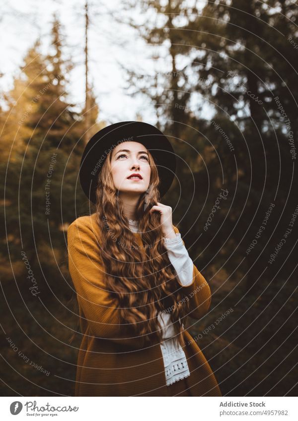 Junge Hipster-Frau auf dem Lande Mädchen Natur jung Person Lifestyle Hut Landschaft Sommer Model Schönheit Behaarung im Freien lässig Hintergrund Kaukasier