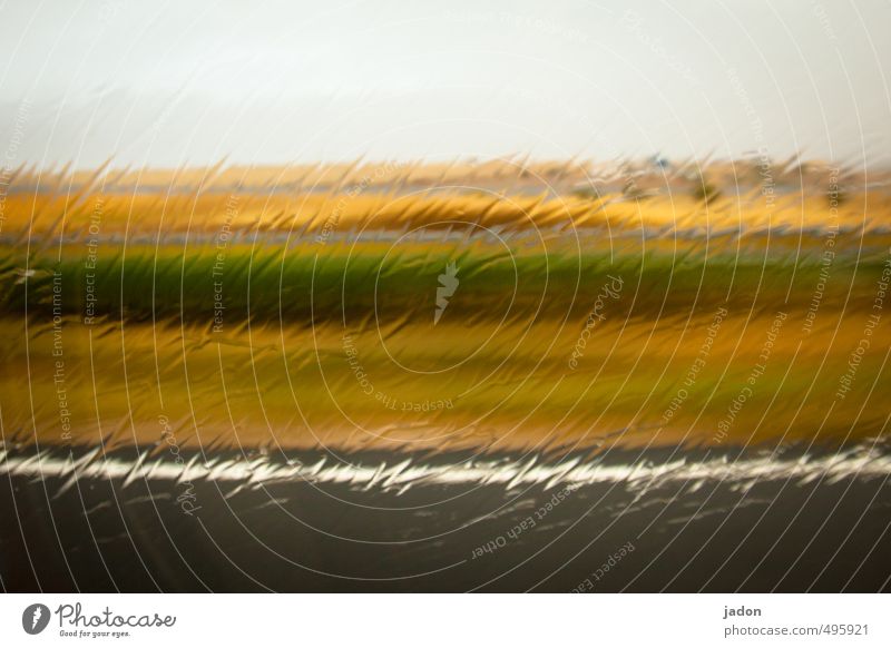 das wetter hält! Stil Umwelt Horizont Wetter schlechtes Wetter Unwetter Regen Verkehrswege Straßenverkehr Wasser Linie nass mehrfarbig Surrealismus Bewegung