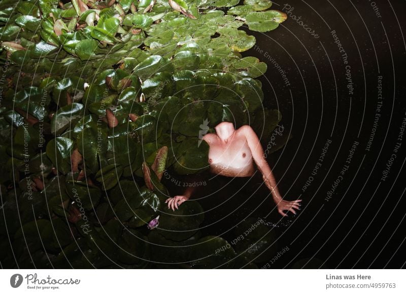 Ein nacktes Bad im dunklen Wasser in einer Sommernacht. Die Brustwarzen und sexy Kurven sind deutlich sichtbar. Ein nacktes Mädchen ertrinkt in einem Teich mit einigen grünen Wasserpflanzen um sie herum. Etwas zwischen dem Seltsamen und dem Gewöhnlichen.