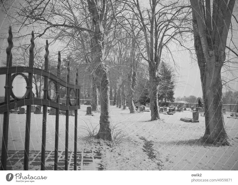 Durchgang Friedhof Ausgang Pforte Tür Außenaufnahme Vergänglichkeit ruhig einsam Stille Grabmal Stein Menschenleer Grabstein Baum Wege & Pfade alt