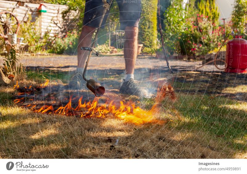 Rasen verbrennen. Mann zerstört trockenes totes Gras mit dem Unkrautbrenner, Gasbrenner. Feuer breitet sich schnell durch trockenes Gras im Garten aus, Nahaufnahme. Gefahr für Waldbrände