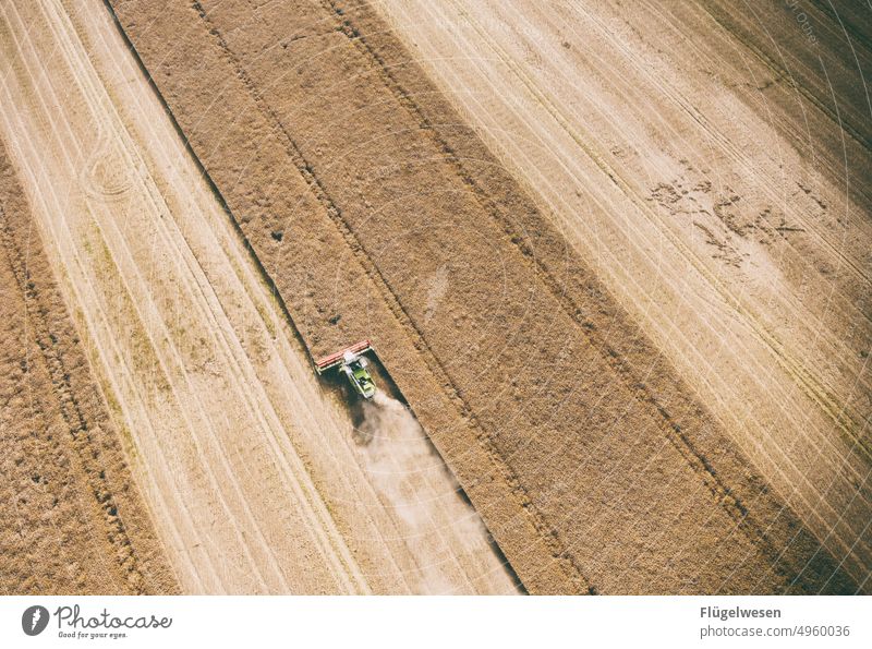 Ernte mähen Mähdrescher Mäher Felder Mähne Bauernhof Bauernleben Landschaft Weizen Gerste Roggen Getreide Getreidefeld Getreideernte getreideanbau